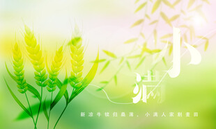 小满节气清新花卉背景图