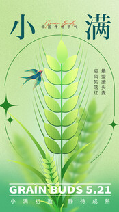 小满节气麦穗蜻蜓图