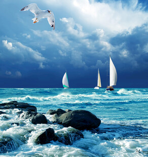 海上帆船与翱翔海鸥