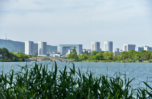湖畔城市风光