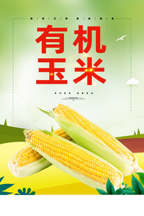有机玉米自然的美味
