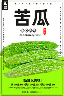 苦瓜种植书籍封面展示