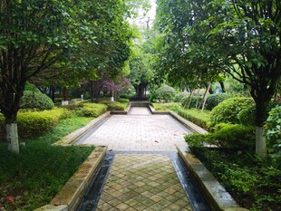 静谧园林小道景观