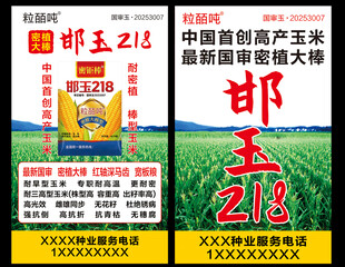 玉米种