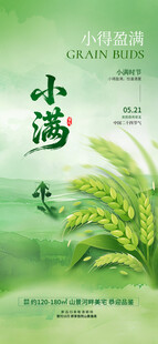 清新小米插画海报