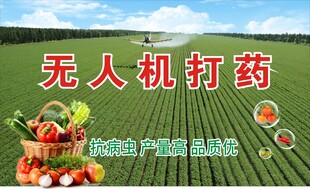 无人机农田打药场景展示