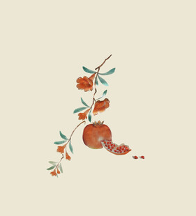 手绘石榴插画