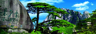 黄山 迎客松