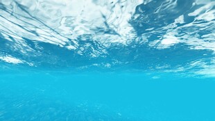 海水