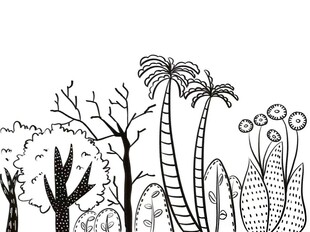 森林插画