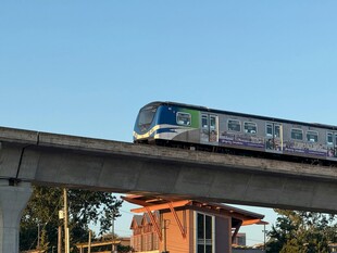 高架轨道上的彩色列车