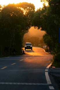夕阳下公路上行驶的车辆