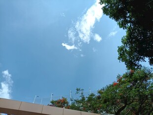 蓝天绿树间的开阔景致