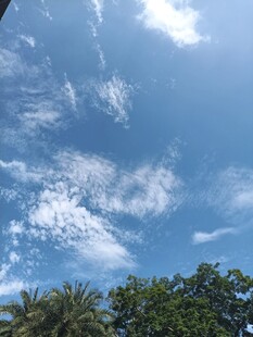 蓝天绿树间的白云美景