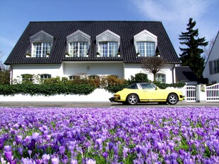 花海中的小屋与黄色汽车