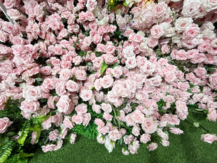 粉色玫瑰花