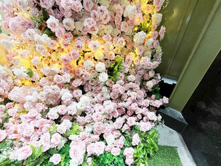 玫瑰花