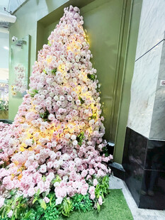 玫瑰花