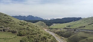 山间绿野风景图