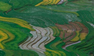 多彩梯田田园风光美景