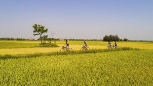 田野骑行畅享自然之美