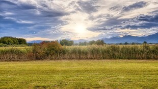 阳光照耀下的广阔原野