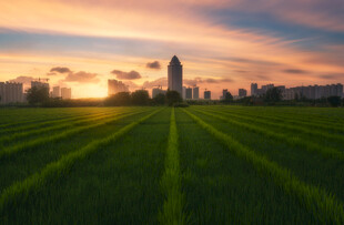 夕阳下的城市与田野美景