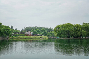 湖畔绿树环绕的宁静风光