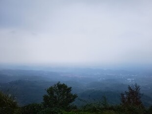 雾霭山林远景