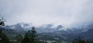 云雾缭绕的山间景色