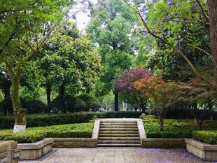 静谧林间石阶园林景致