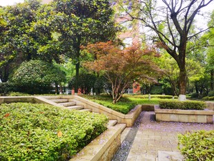 城市中的静谧花园景观