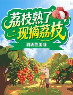 荔枝熟了 现摘荔枝海报