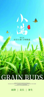 清新田园麦穗风景图