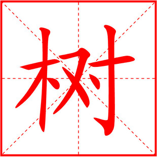 树字笔顺动态图GIF动画