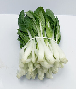 小白菜