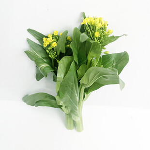 菜心花