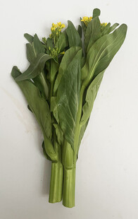 菜心