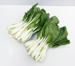 小白菜
