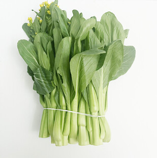 菜心