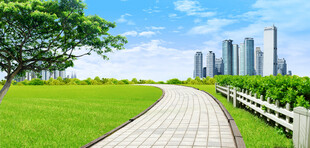城市旁的草地小径风景