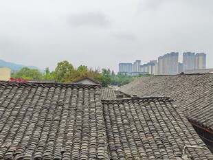 古瓦屋顶与远处现代建筑
