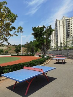 户外乒乓球场地