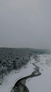 冬日雪覆河流与树林景观