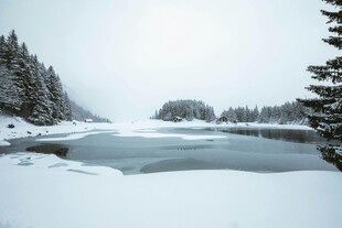 冬日冰雪覆盖的静谧山林