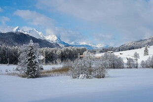 冬日雪景中的山林风光