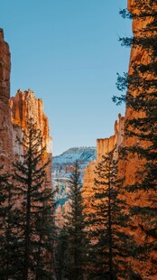 壮丽山间景