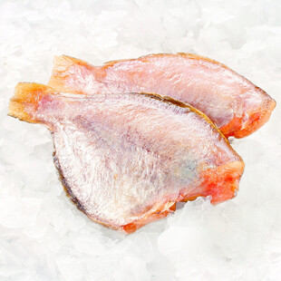 肉鲳