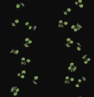 黑色背景上的绿色植物图案