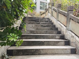 石砌阶梯旁绿植相伴